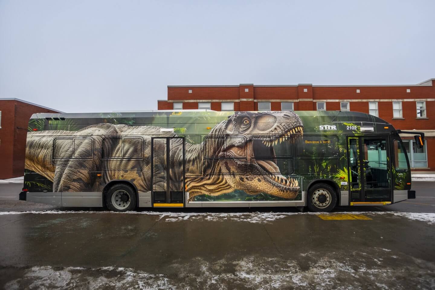 Photo officielle du Dinobus